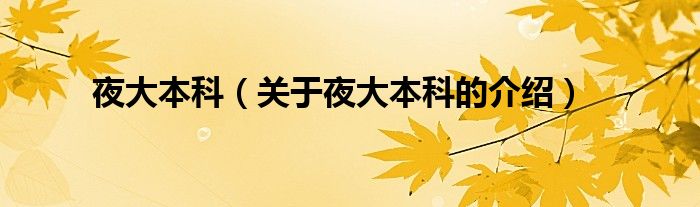 夜大本科（关于夜大本科的介绍）