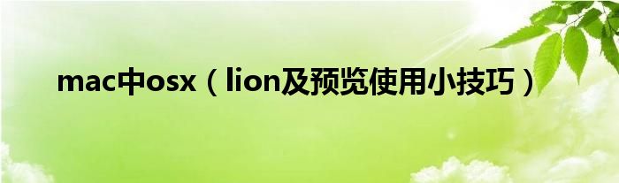 mac中osx（lion及预览使用小技巧）