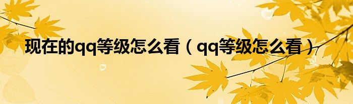 现在的qq等级怎么看（qq等级怎么看）