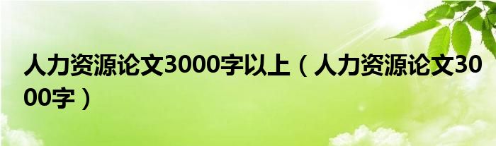 人力资源论文3000字以上（人力资源论文3000字）