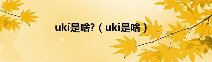 uki是啥?（uki是啥）