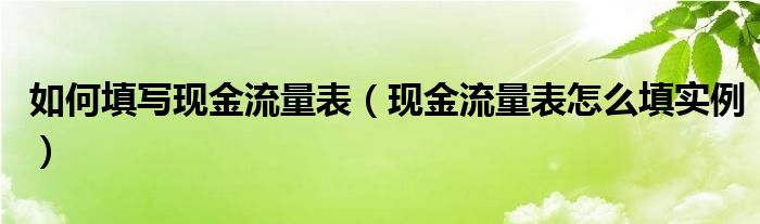 如何填写现金流量表（现金流量表怎么填实例）