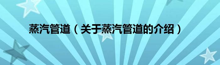 蒸汽管道（关于蒸汽管道的介绍）