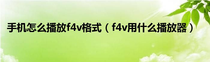 手机怎么播放f4v格式（f4v用什么播放器）