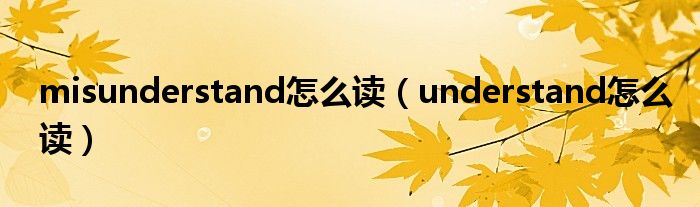 misunderstand怎么读（understand怎么读）