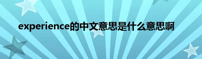 experience的中文意思是什么意思啊