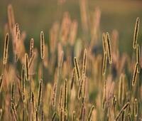 英特尔CEO Bob Swan发布GPU DG2高性能显卡