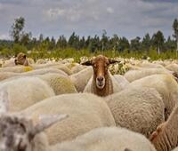 南充在哪个省哪个城市 南充属于四川省的城市
