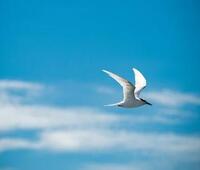 换尿不湿的正确方法