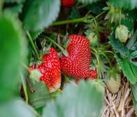 抖音分享好友头像顺序怎么删除