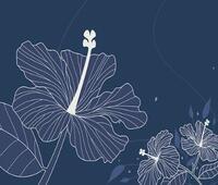 为什么微信铃声会有震动