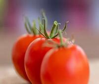 阿拉善属于哪个省份